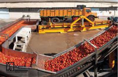 Technical, Financial Feasibility Study and Planning Justification Report of Establishing production Unit of Tomato Paste Packing in Soleymanieh, Iraq